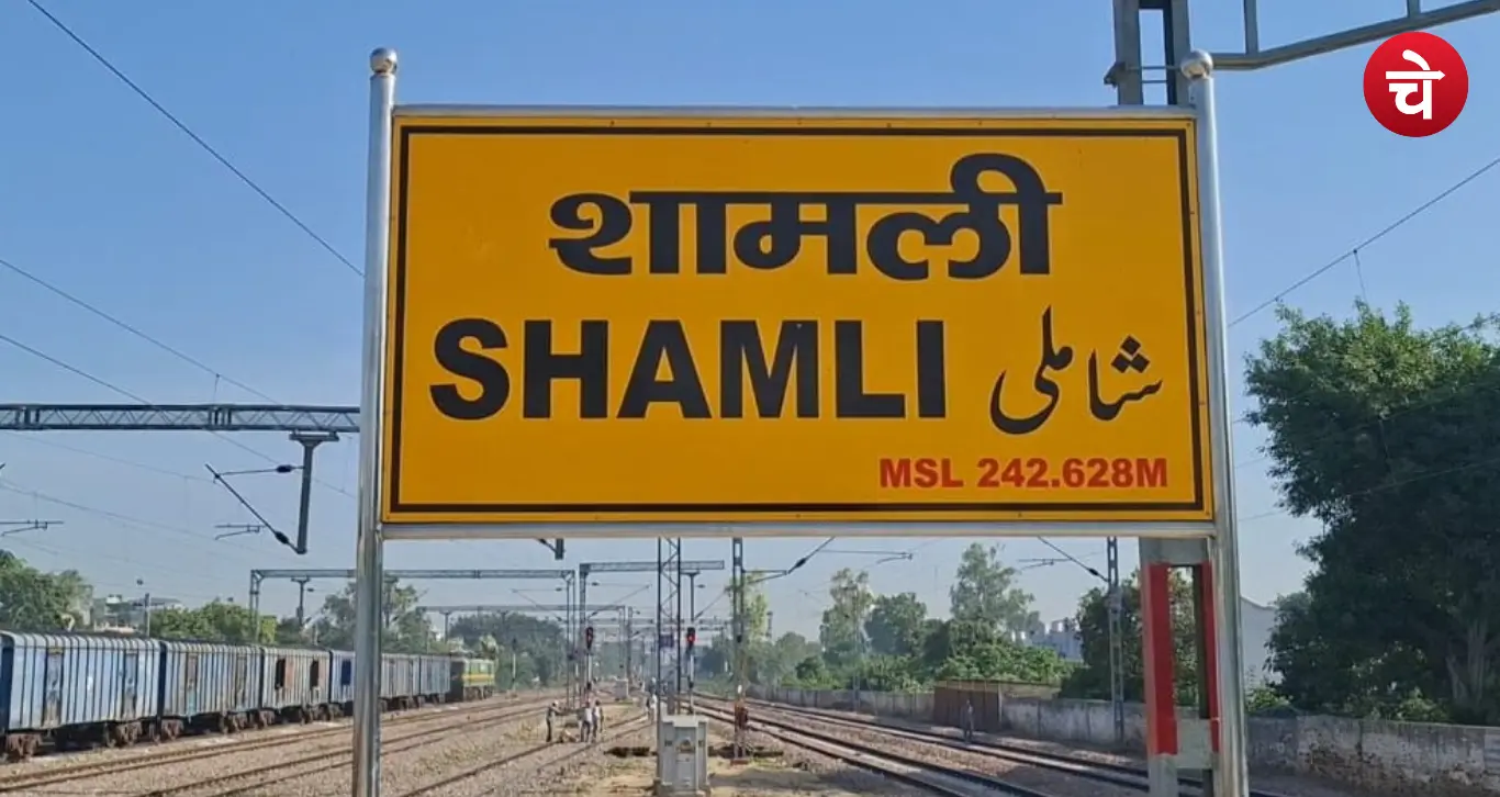 MLC Election Shamli